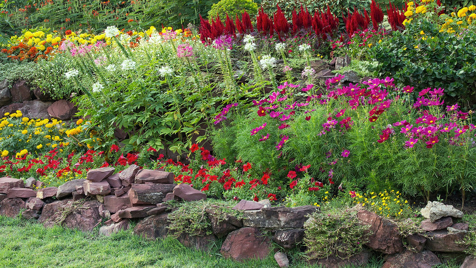     Источник фото: freepik.com (@aopsan)