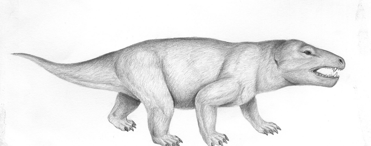 Болотридон.