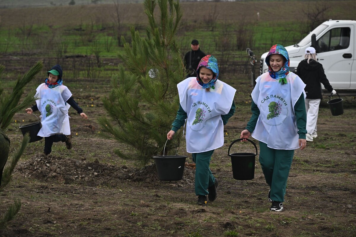     / Источник: © «Сад памяти»