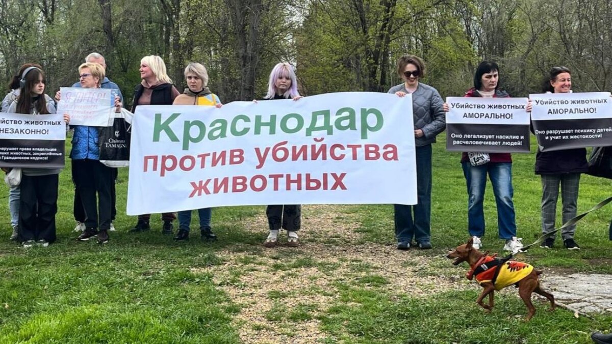 Фото: Утренний Юг