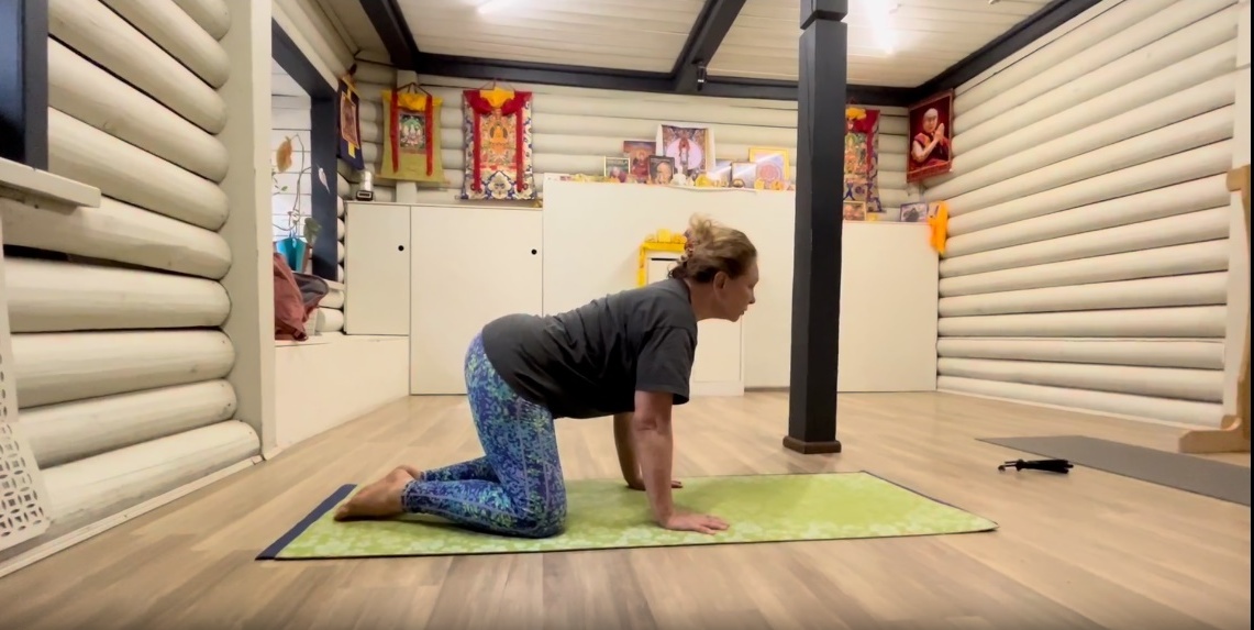 Упражнение "корова-кошка"