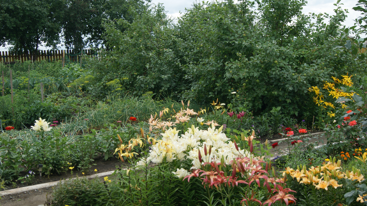 И ещё один пёстрый цветочный ковёр..