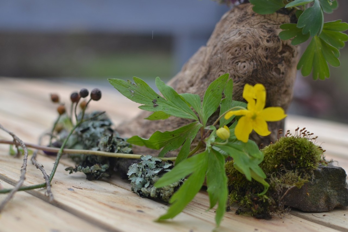 Есть ли польза от таких композиций? Сплошная литературщина...