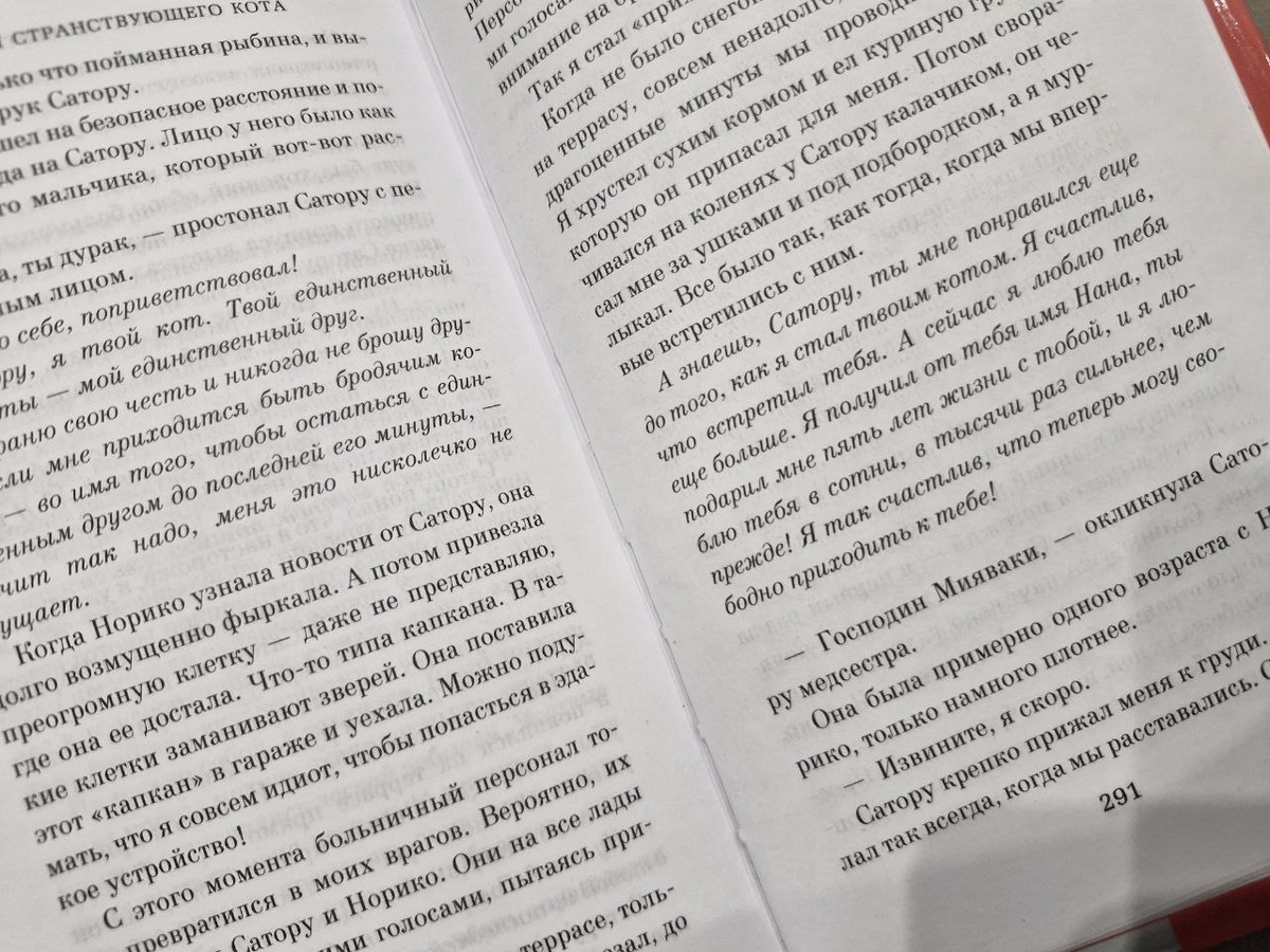 Хиро Арикава - Хроники Странствующего Кота - Цитата