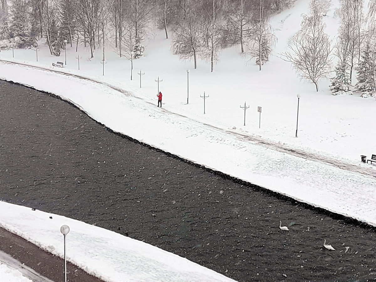 Фото автора