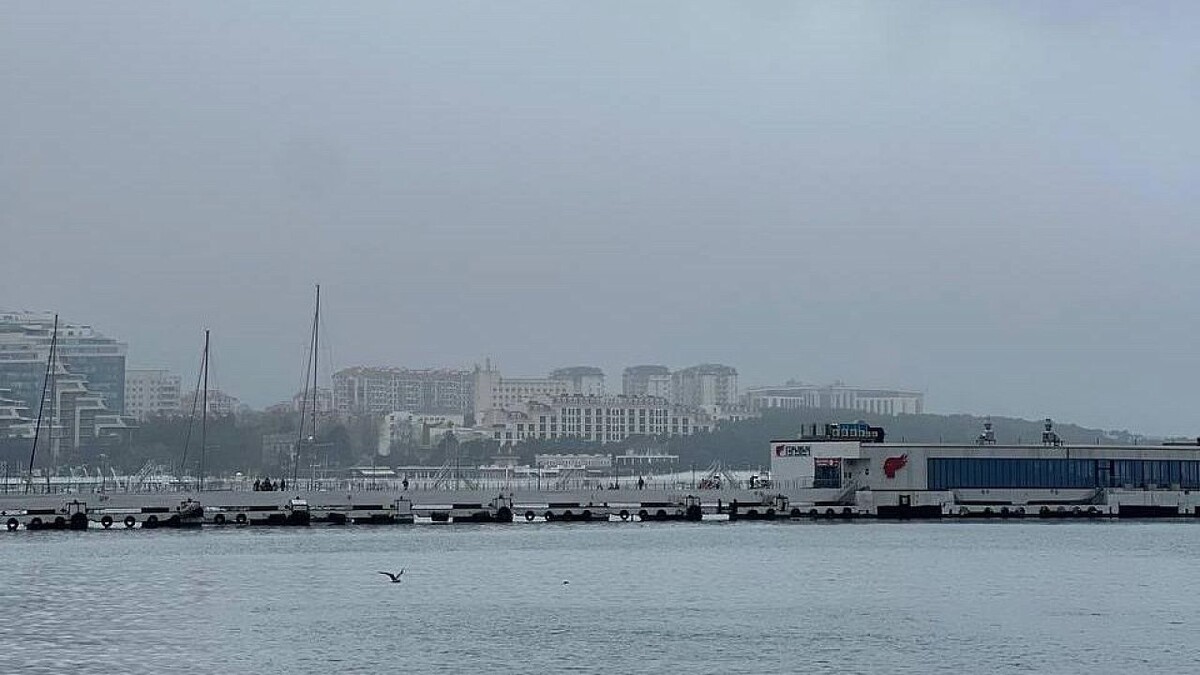    Фото: телеканал «Краснодар»