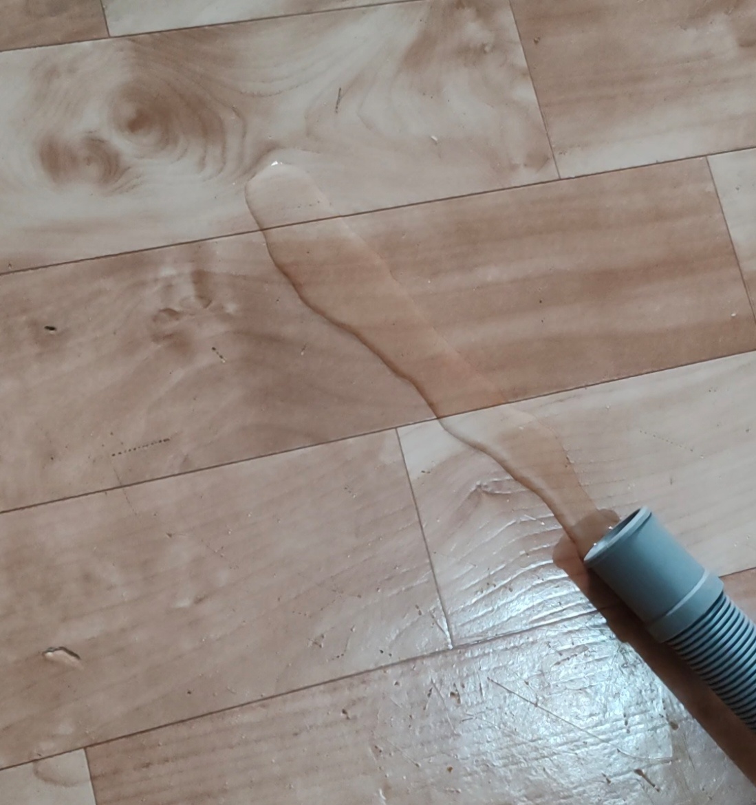 Фото автора канала. 