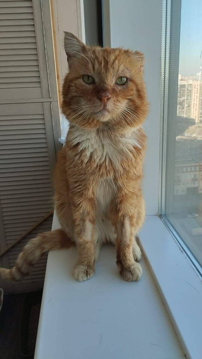 Фото: t.me/usatypolosaty