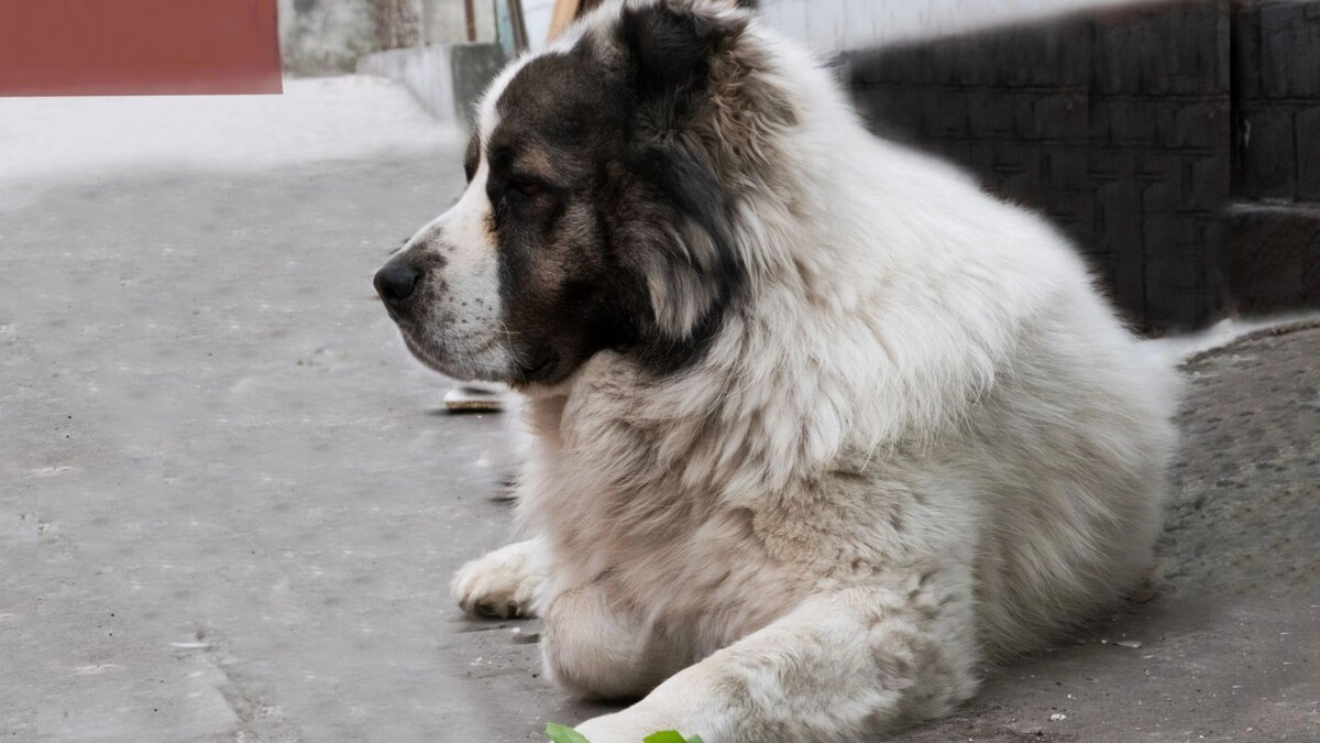    Фото: Maryna Zhukova/Shutterstock/Fotodom