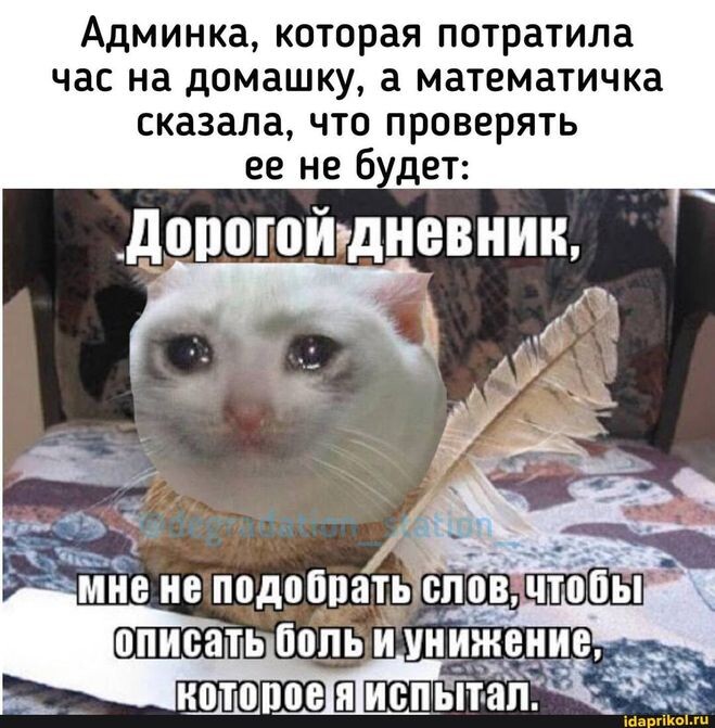 Фото из инета