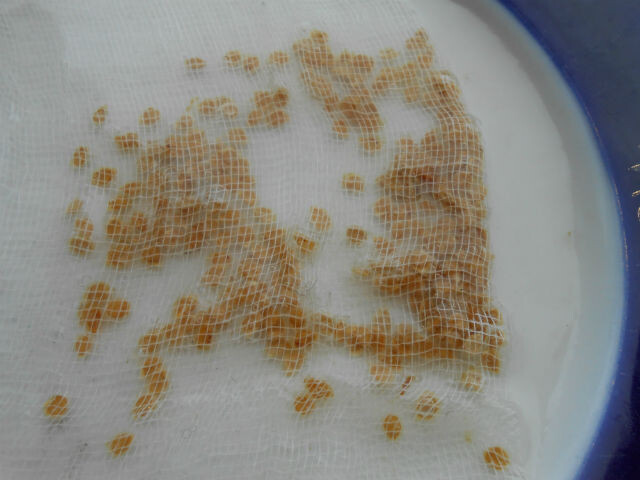 Замачивание семян в марле