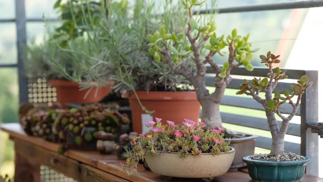    Bernd Schmidt via www.imago-imag/www.imago-images.de/Globallookpress