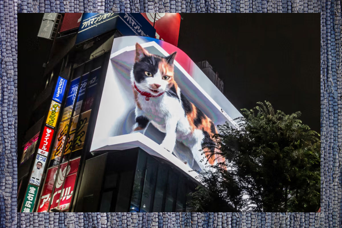 знаменитая 3-д реклама в Токио