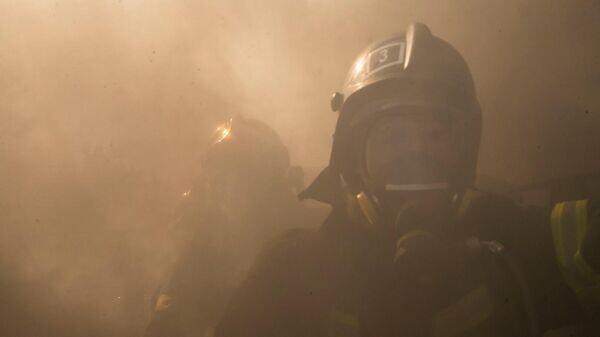    © РИА Новости Крым . Дмитрий Макеев