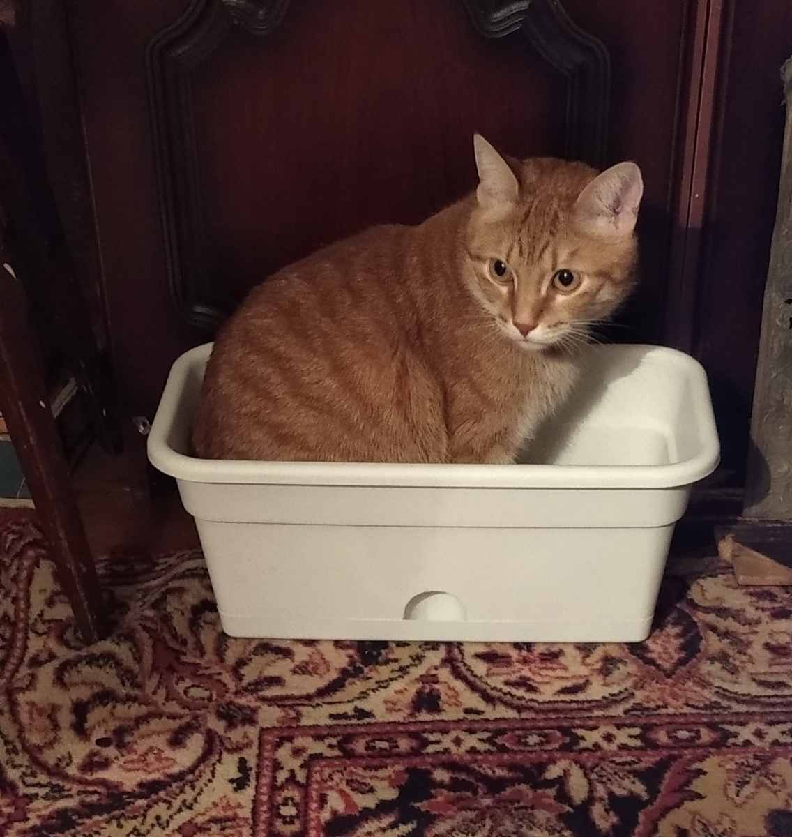 Личное фото