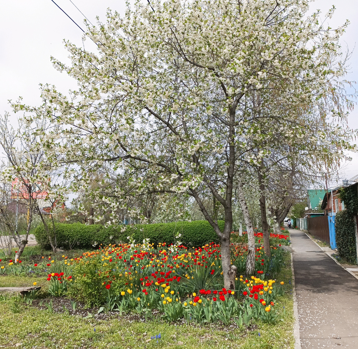 Уже почти родная улица моя))