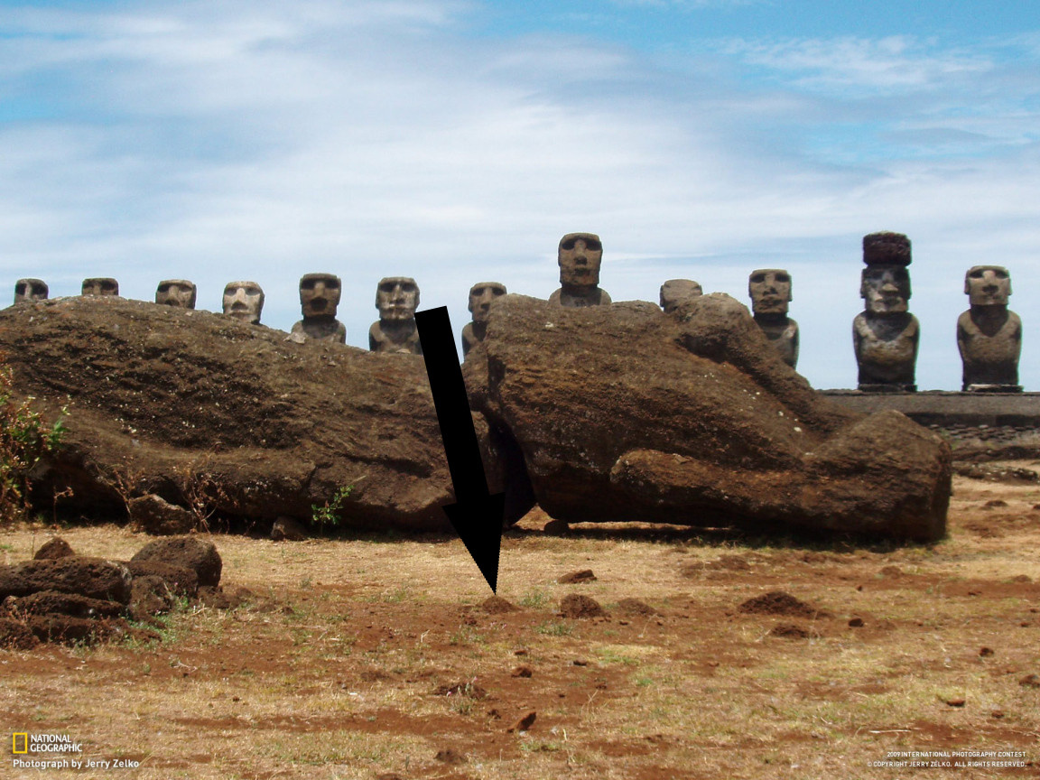    Тайна острова Пасхи раскрыта как создавали моаи и почему это до сих пор шокирует ученых