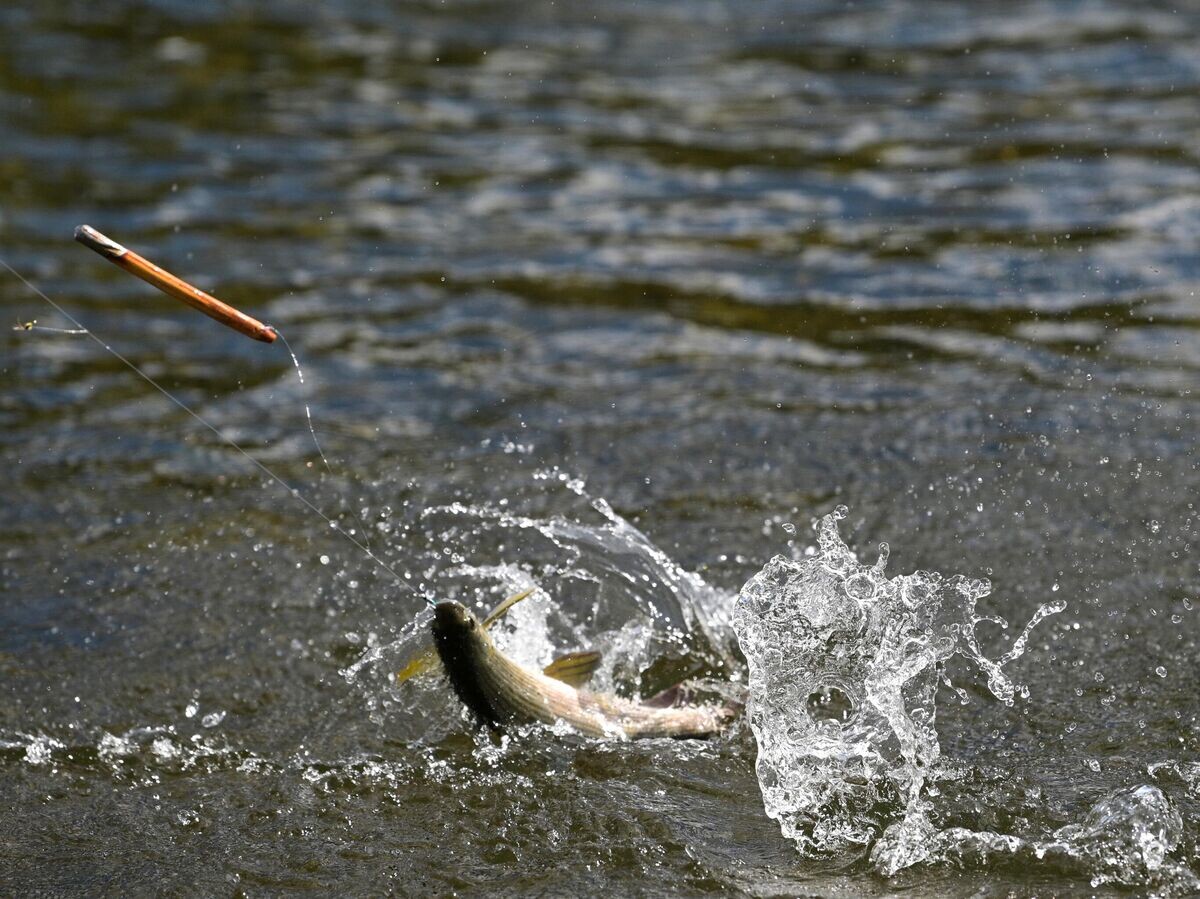    Рыбалка в Сибири© РИА Новости / Алексей Дружинин