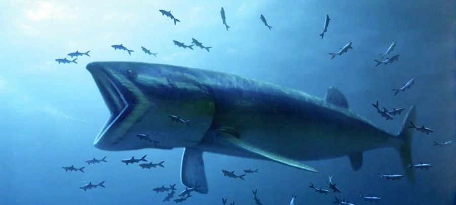 Вот она - рыба вашей мечты!