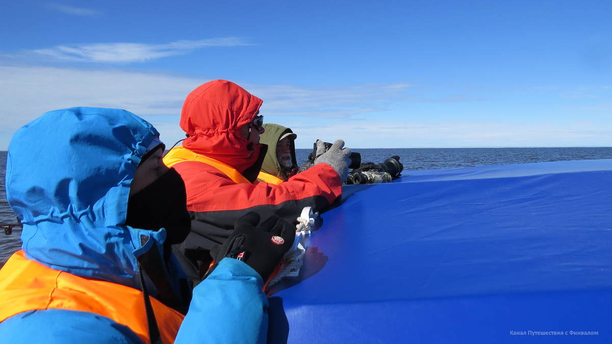 Холодно, однако! 