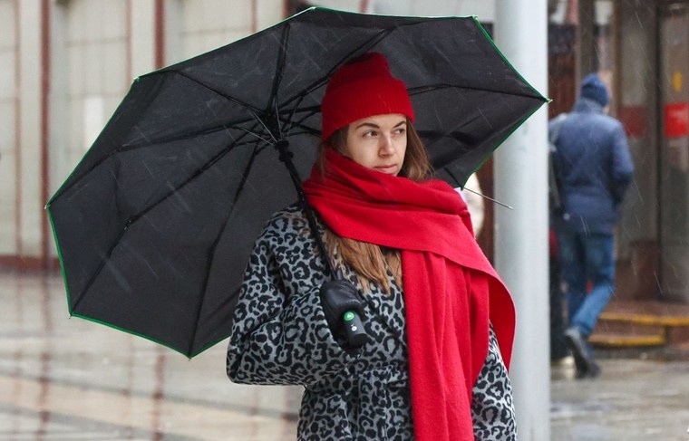    Наталья Шатохина/NEWS.ru