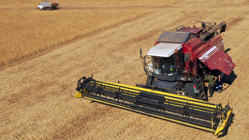 Аграрии Марий Эл планируют реализовать продукцию на 65 млрд рублей в 2024 году.📷Фото: Артем Краснов / Коммерсантъ