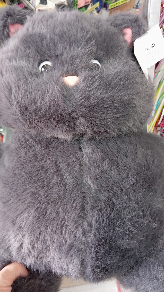 Котик мягкий