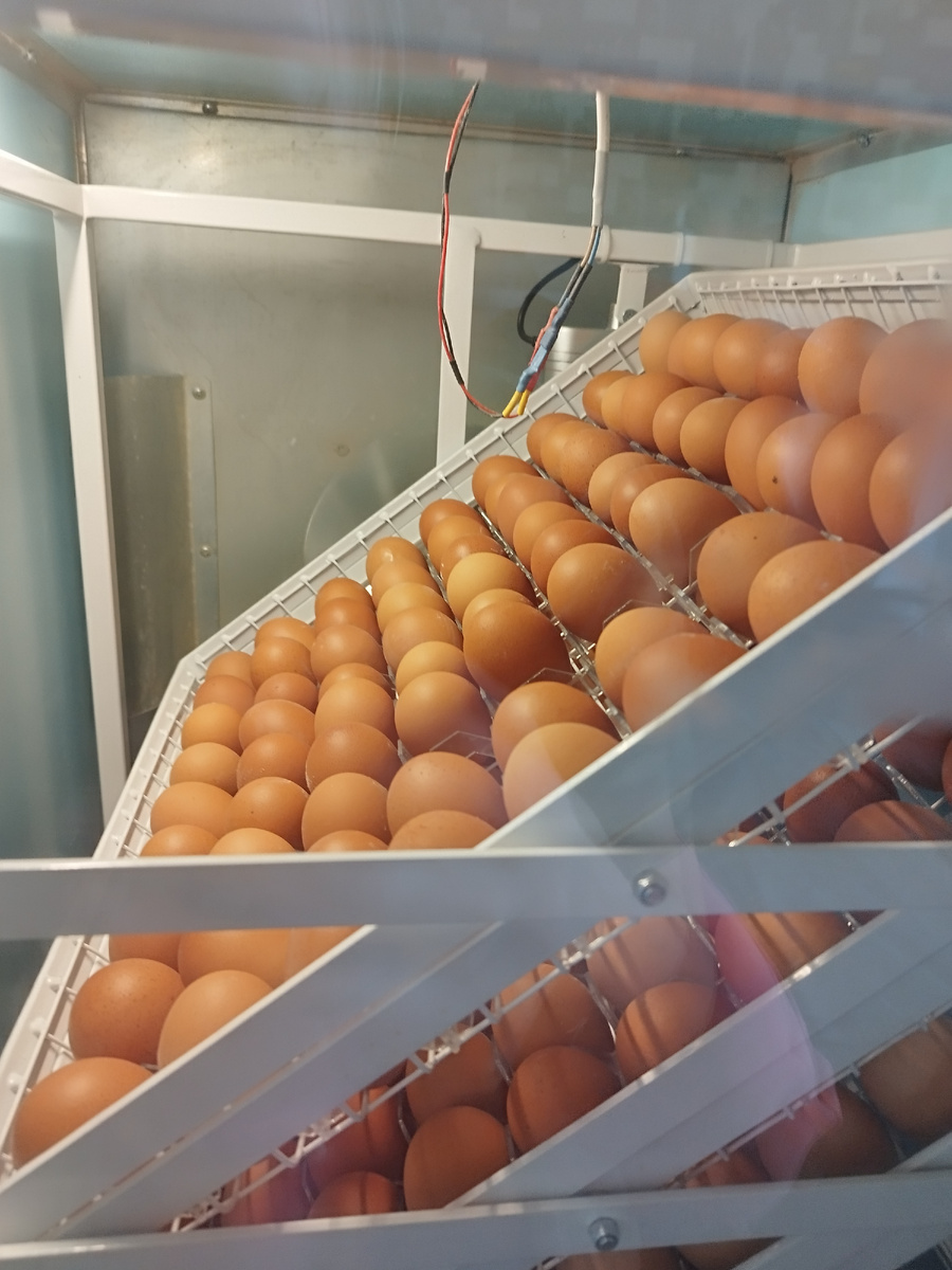 Фото автора канала