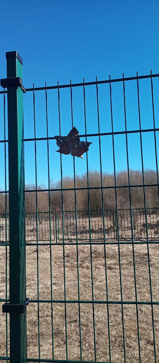 Фото автора. 