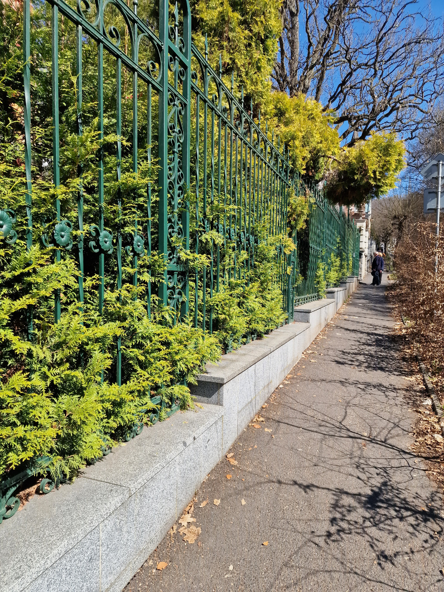 фото автора: неудивительно, что не узнала, вон какие кусты понаросли