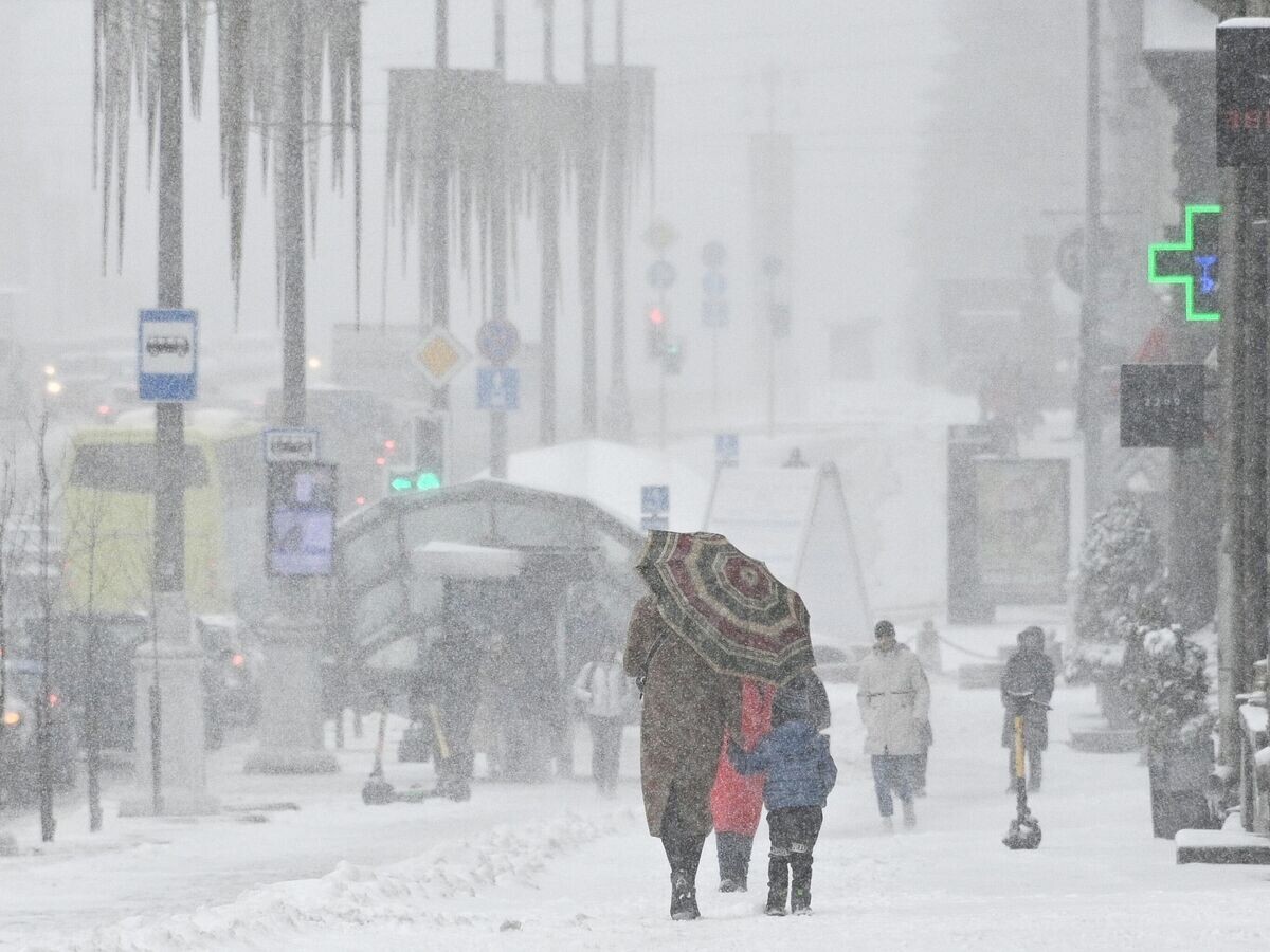    Прохожие во время снегопада в Минске© РИА Новости / Виктор Толочко