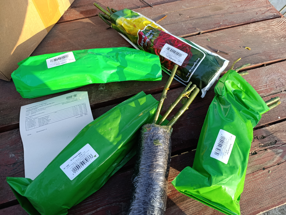 Фото автора канала Птичка  Степная . Пока все выглядит достойно в посылке от Русского огорода