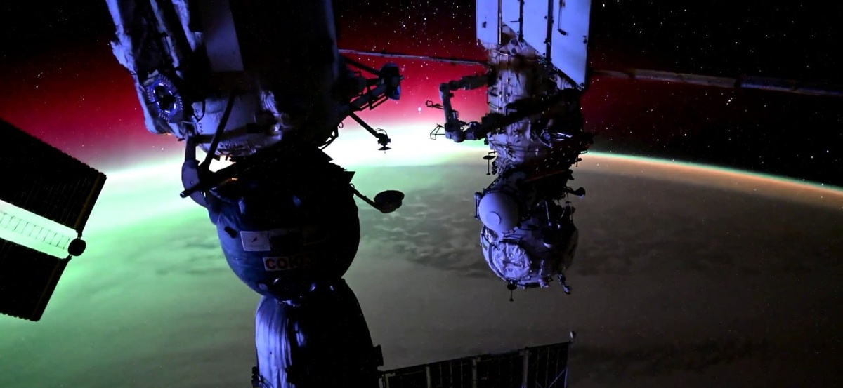 Скриншот из видео ТАСС  📷
