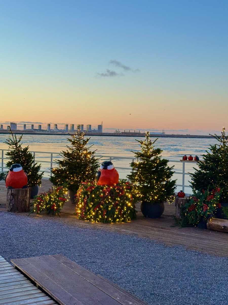 Вид на залив