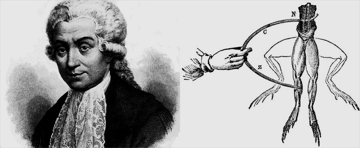 Луиджи Гальвани и опыт с лягушкой