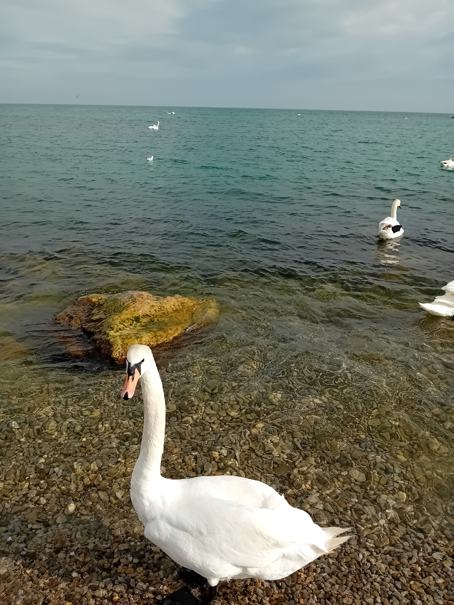 Авторское фото.