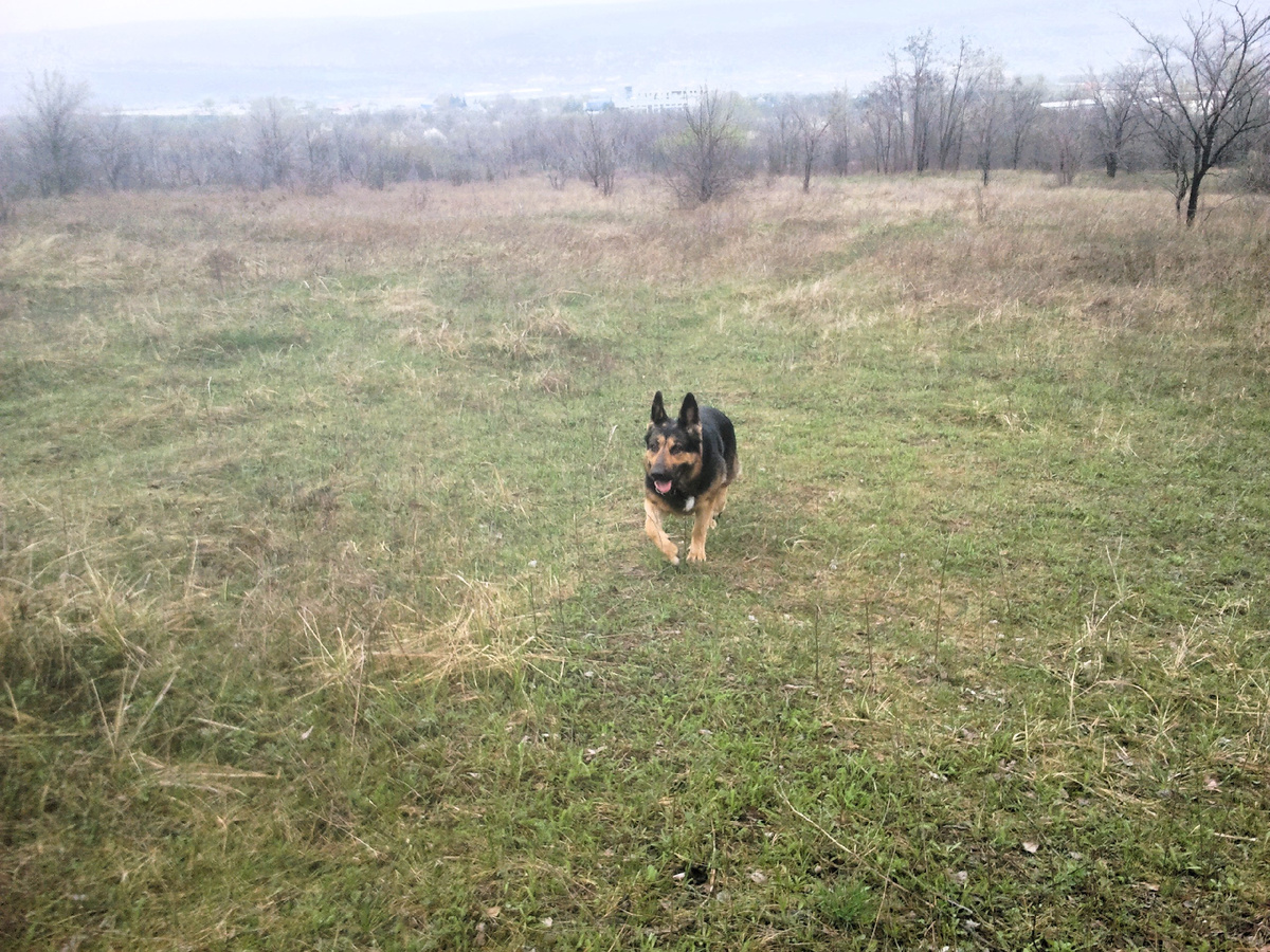 Фото автора