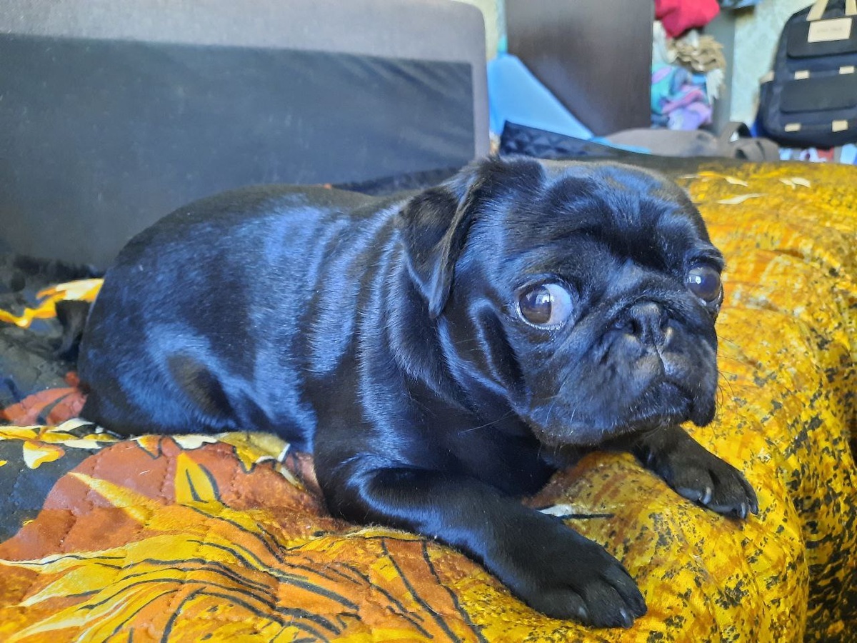 Нас разбудили, когда фотографировать начали.