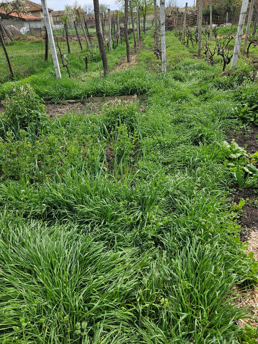 Трава почти по колено