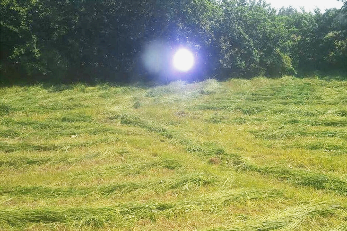 Пример появления на открытой местности