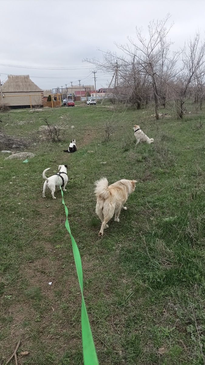 на фото не все