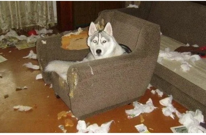 Я создал арт объект