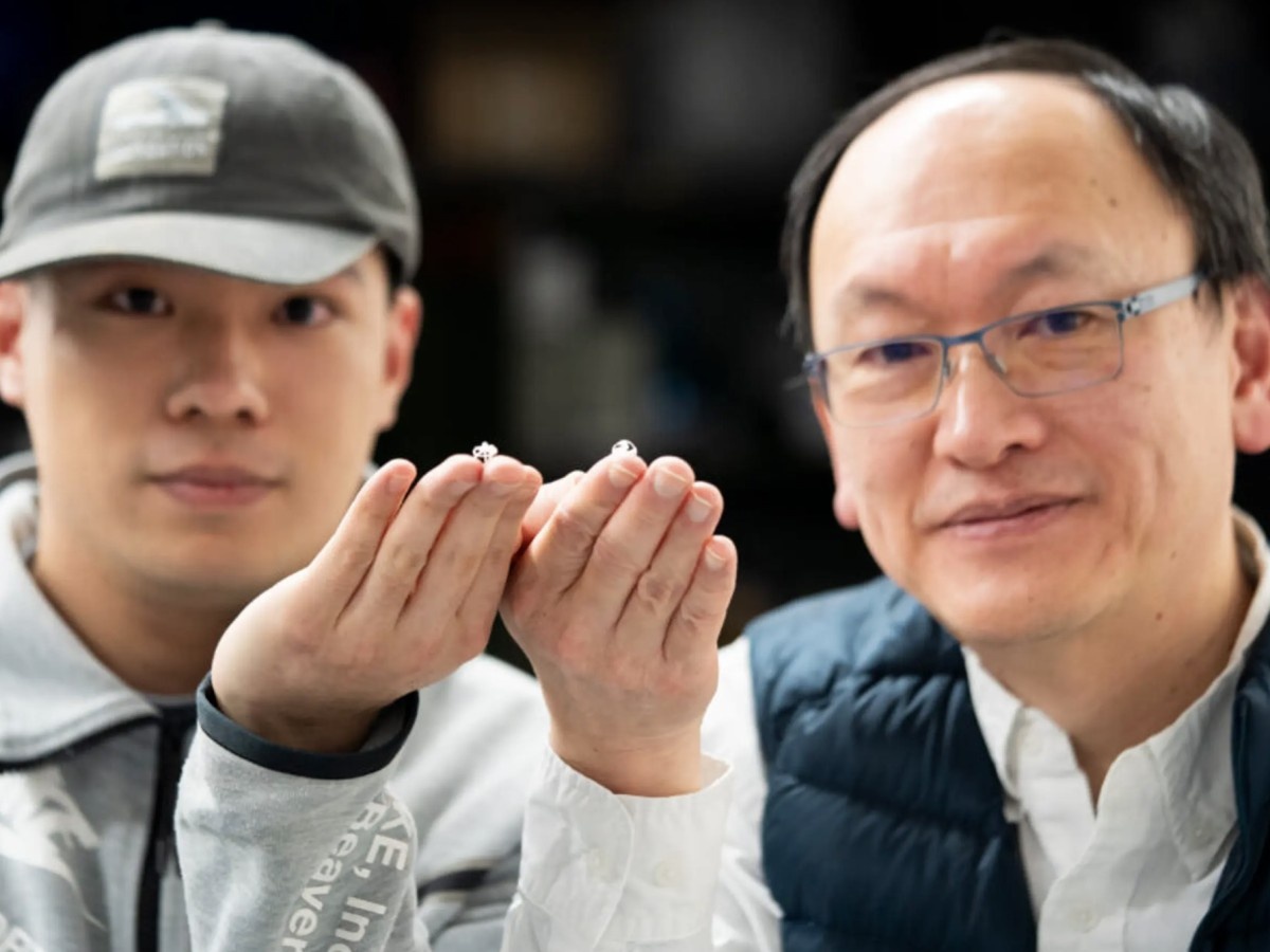    Создан самый маленький в мире летающий робот