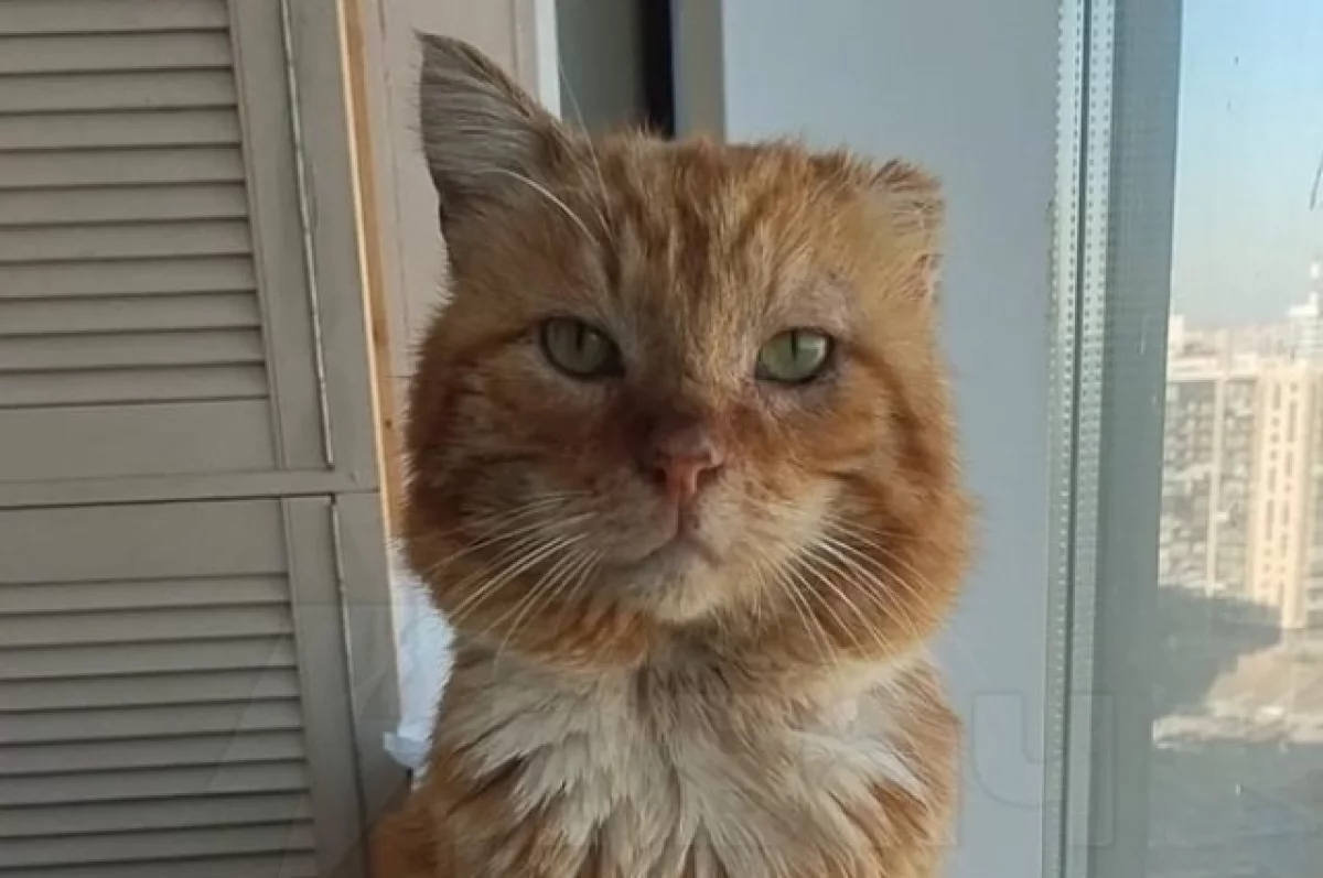 фото из яндекс картинки