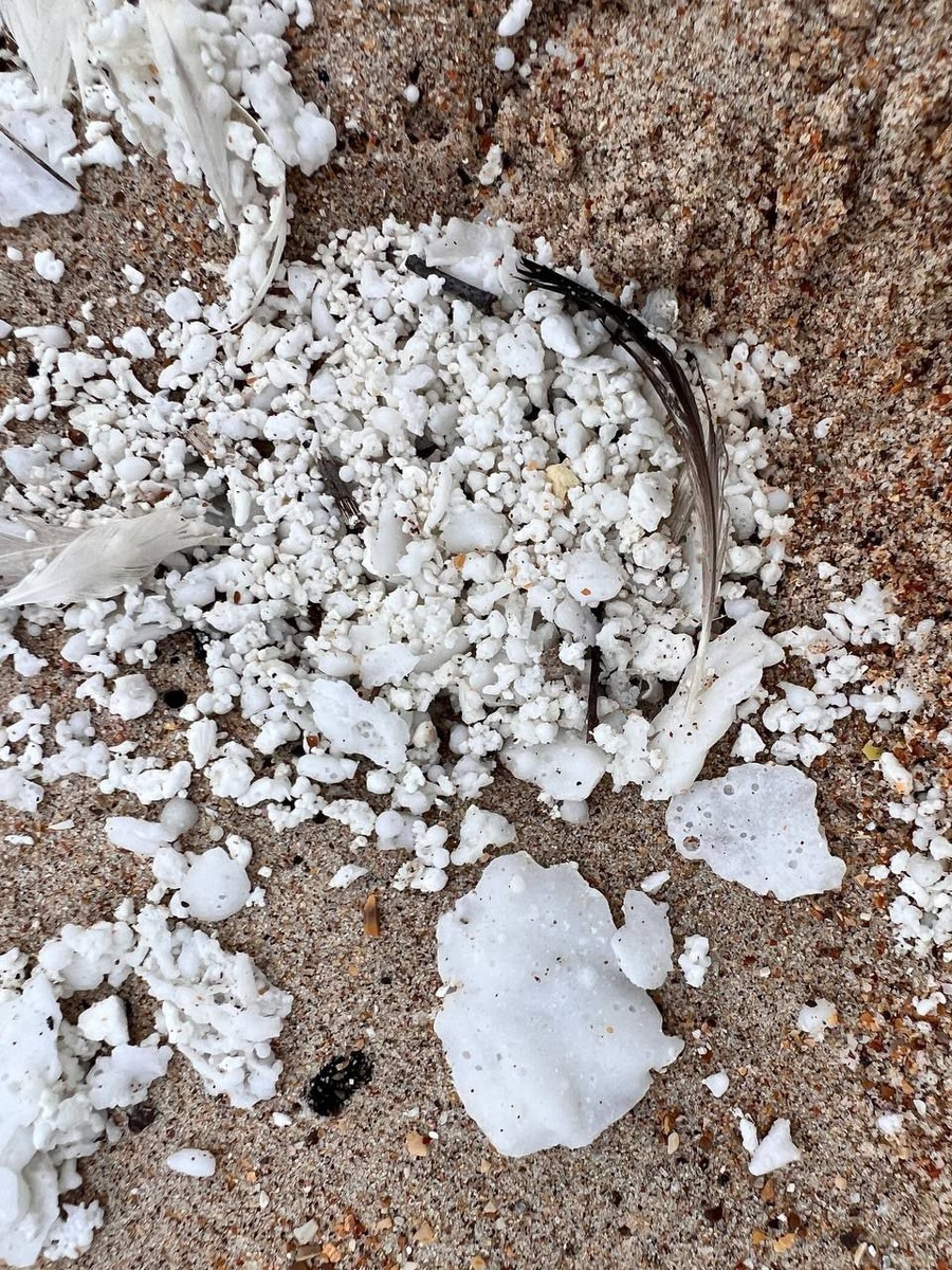 Фото: Евгений Витишко / Телеграм