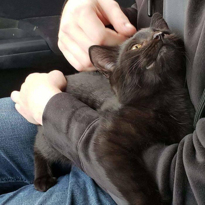 Фото из Интернета.