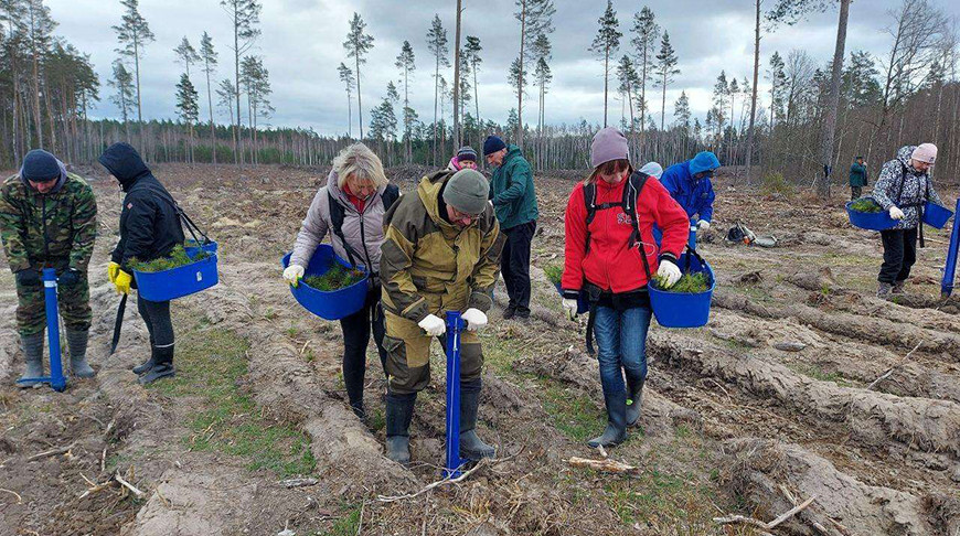 5 апреля, Минск /Корр. БЕЛТА/. 