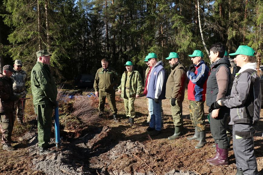 Лес - это бесценный дар и величайшее национальное достояние.