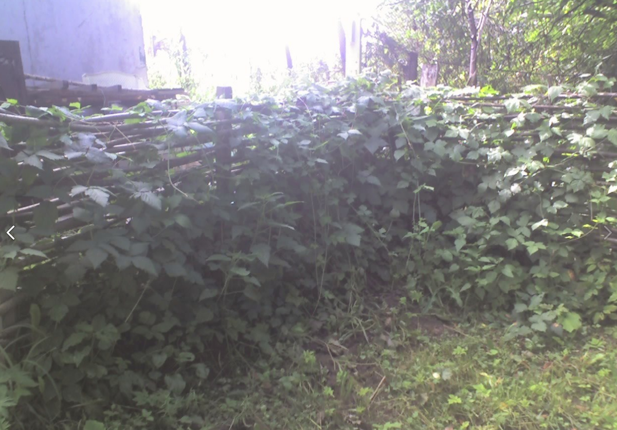 Так было 10 лет назад