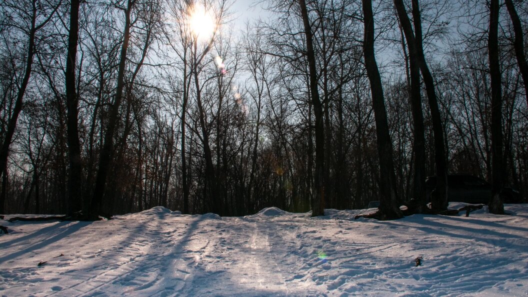    Фото: Svetlana Vozmilova/Globallookpress